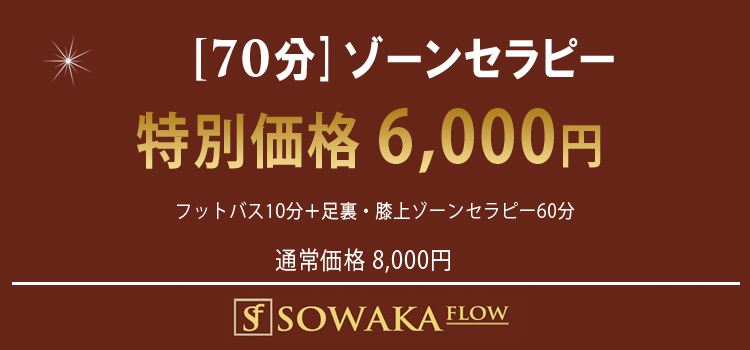 ゾーンセラピー70分
